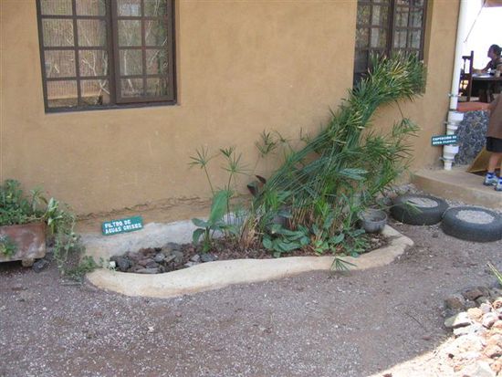 Das Abwasser (ohne WC) sickert u.a. durch diesen "Biofilter" und wird anschliessend zur Bewässerung des Gartens gebraucht.
