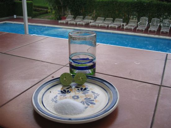 Den Rand des Glases mit der Limone einreiben.