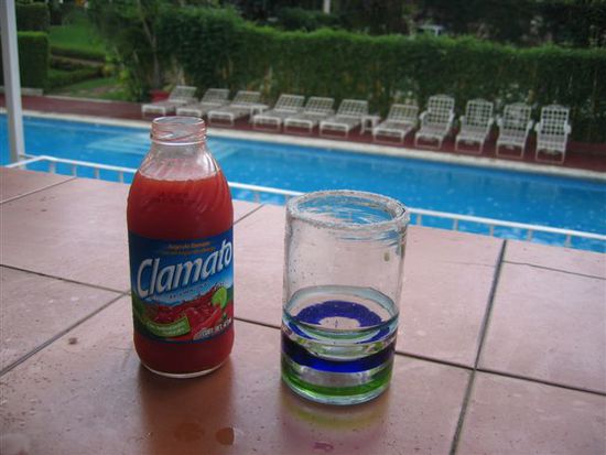 Etwa 2dl Tomatensaft ins Glas giessen.