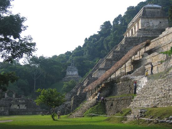 Blick auf die Tempelanlagen im dichten Dschungel von Chiapas.
