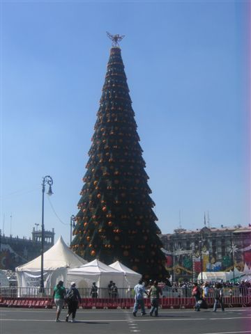 In Mexiko City haben sie einen grossen Weihnachtsbaum...