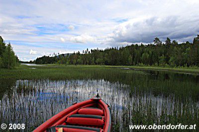 Der Flensee