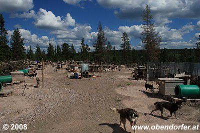 Villmark Kennel