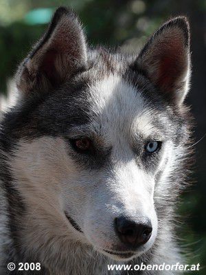 Ein Blick