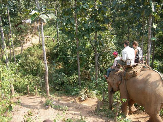 manchmal eine wacklige Angelegenheit