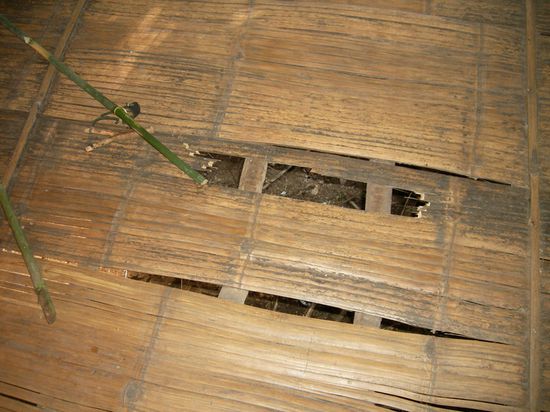 War sie auch nicht ...