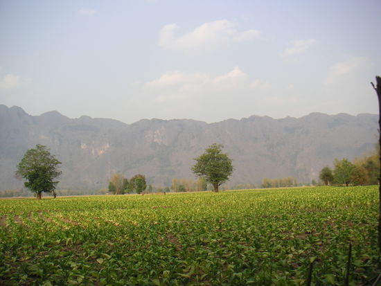 Irgendwo in Laos..
