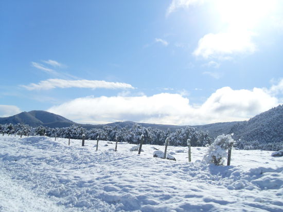 Murchison..
Wegen dem Schneefall wurden alle Strassen gesperrt und wir waren eine Nacht im huebschesten Ort dieser Welt gefangen..Aaaah!
Und als ich dann am naechsten Tag den Schnee sah, dachte ich, das ist ein Witz.. nicht einmal 10 cm Schnee! Und deshalb wird alles abgesperrt?
Eines habe ich auf jeden Fall gelernt. ich werde mich nie wieder ueber die OEBB aufregen, wenn sie im Winter mit den 30 oder 40 cm Schnee nicht zurecht kommen!