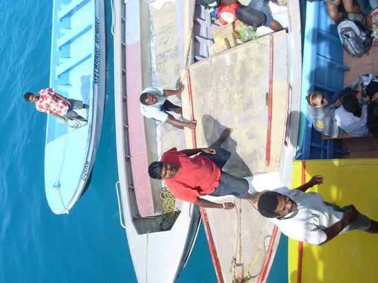 netter Blauton, nicht wahr??