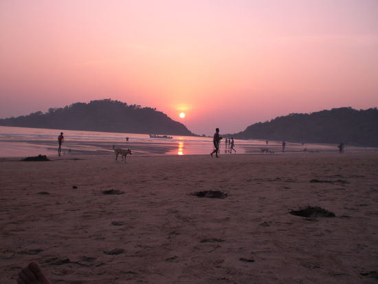 sonnenuntergang in palolem...traumhaft schoen. die hudne und kuehe stoerten mich ein wenig, aber da sie nicht ins wasser gingen und brav immer an der selben stelle ihr geschaeft verrichteten, tolerierte wir sie=)