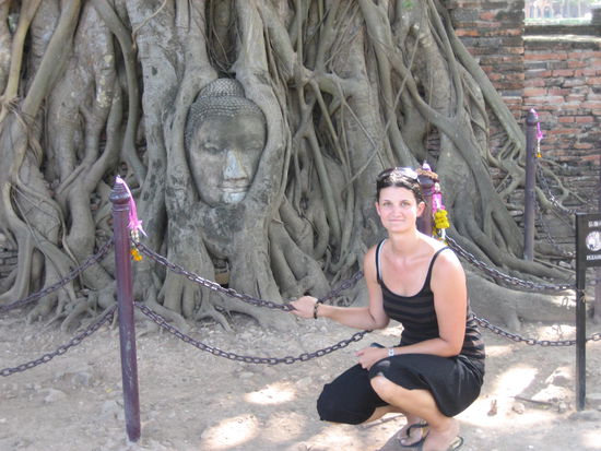 Vor dem umschlungenen Buddhakopf.
