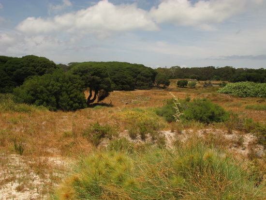 Auf unserem Spaziergang sahen wir auch wunderschoene Landschaften....