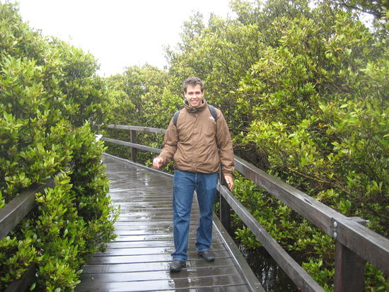 Bei Regen im Mangroven Wald