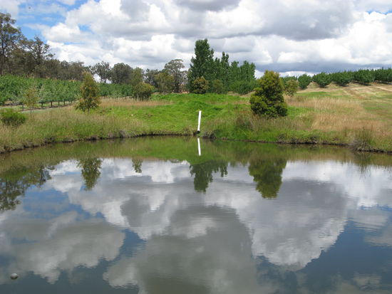 Beim Spaziergang durch "die Goldfelder", echt genial oder?