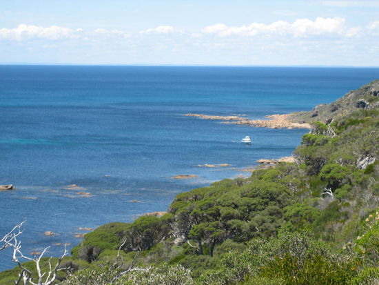 Der Aussichtspunkt zum Wale beobachten.