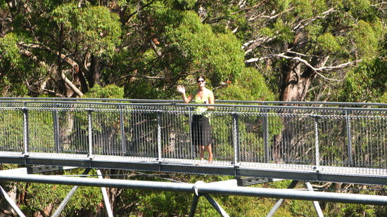 Augengleich mit den Giganten...