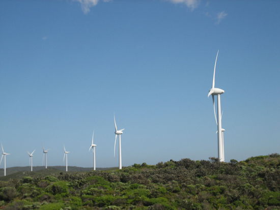 Groesste Windfarm Westaustraliens