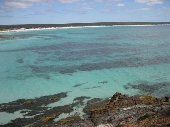 Aussicht am Lookout des Point Ann.