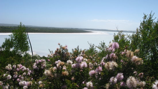 Der graue "Pink Lake" 