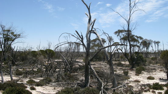 Die ausgetrocknete Landschaft...