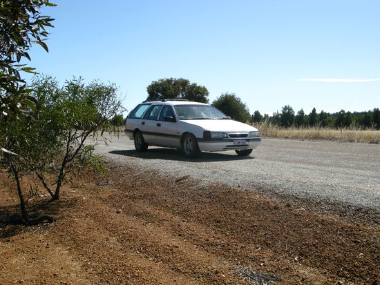 Unser Ford muss bald zurueck zur Vermietung 