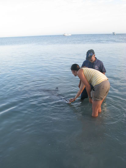 Juhu, ich darf sie selber fuettern 
