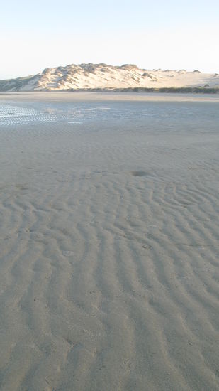 Waehrend des Morgenspaziergangs.