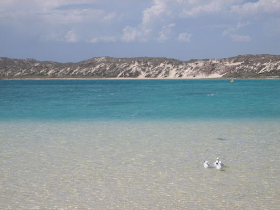 Hier schnorchelten wir was das Zeugs hielt...