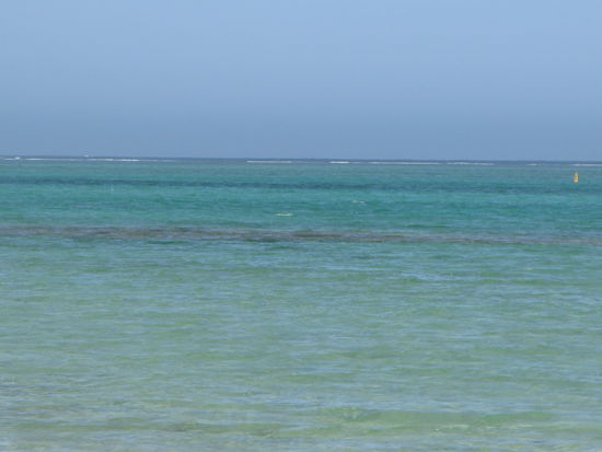 An dieser Stelle (Gelbe Boye) sichteten wir den Hai. 