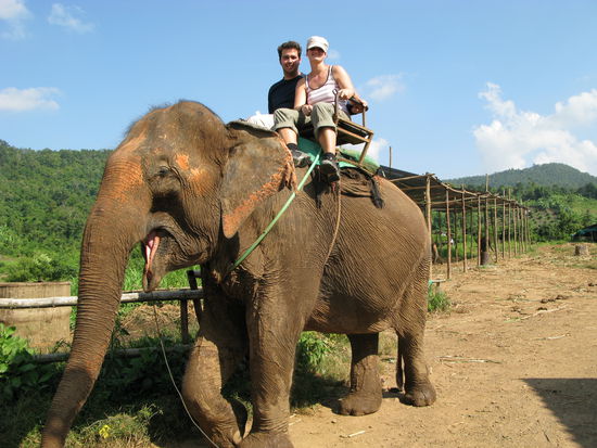 Auf unserem Jumbo der eine Banane nach der anderen frass....