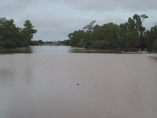 NUR Wasser!!! Wie kommen wir hier bitteschoen rueber??