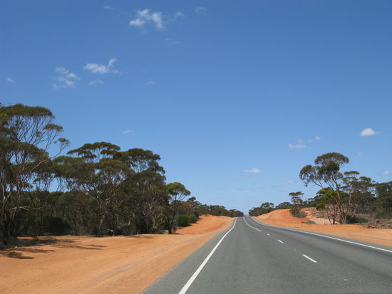 Los gehts in die "Nullarbor"...