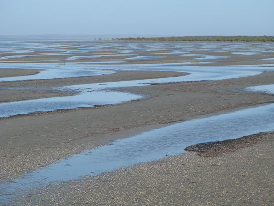 Bei Ebbe entstand dieses witzige Bild