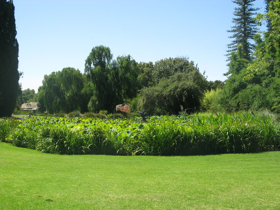 Im wunderschoenen gruenen Botanischen Garten.