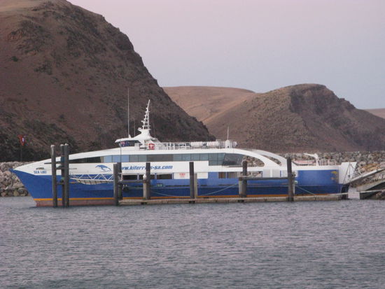 Die Faehre nach Kangaroo Island kostete uns hin &amp; zurueck 208 Dollar.