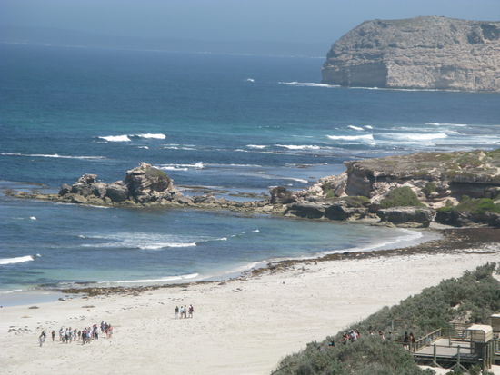 Von oben kann man die Seeloewen kaum erkennen; dafuer umso mehr die Touris