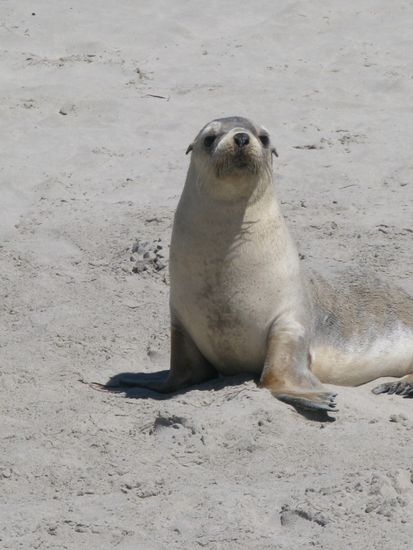 ...und andere gingen auf Entdeckungstour.