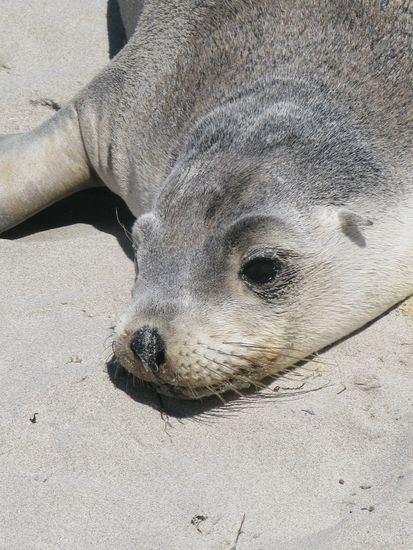 Ist er nicht suess?! 