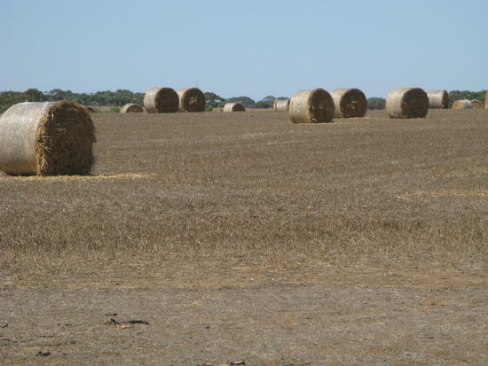 Auf dem Weg zu "Paul's Place"...