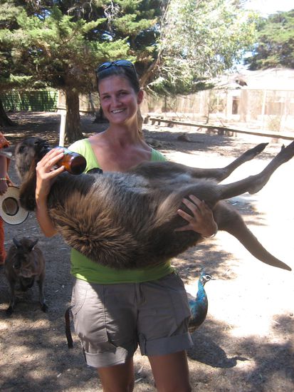 Fraenzi wurde gleich mit dem Fuettern eines Riesenbabys beschaeftigt. 