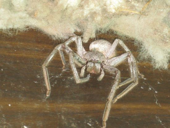 Und bei diesem Bild erst recht!