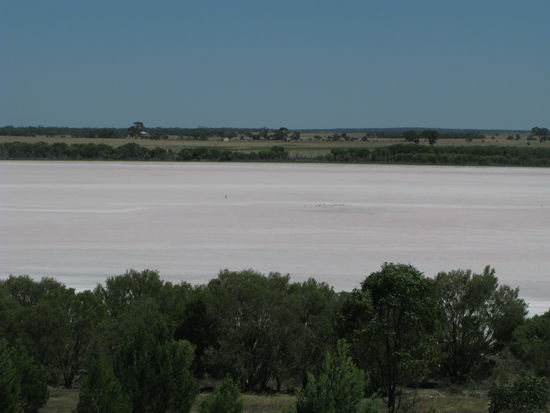 Der "Pink Lake"