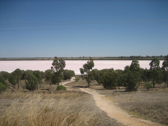 Er sah tatsaechlich rosa aus. Cool!