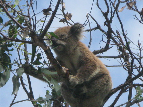 Dieser hier war voll in Action!