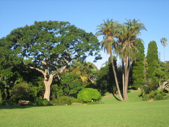 Im Botanischen Garten.