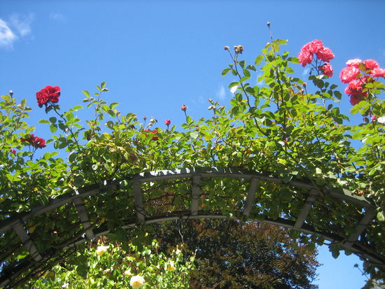 Obwohl es in Neuseeland schon Herbst ist...