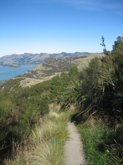 Runter gehts dem schmalen Weg entlang...