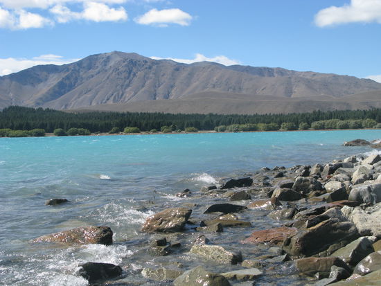 Der Lake Tekapo vom Ufer aus.