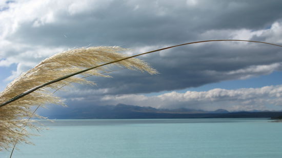 Leider keine Sicht auf den Mount Cook - aber wir waren trotzdem fasziniert!