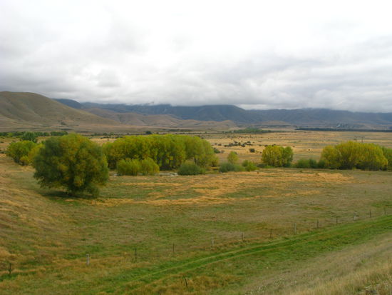Hier (Pelenor Fields) wurde die grosse Schlacht von "Herr der Ringe" gedreht. Cool!